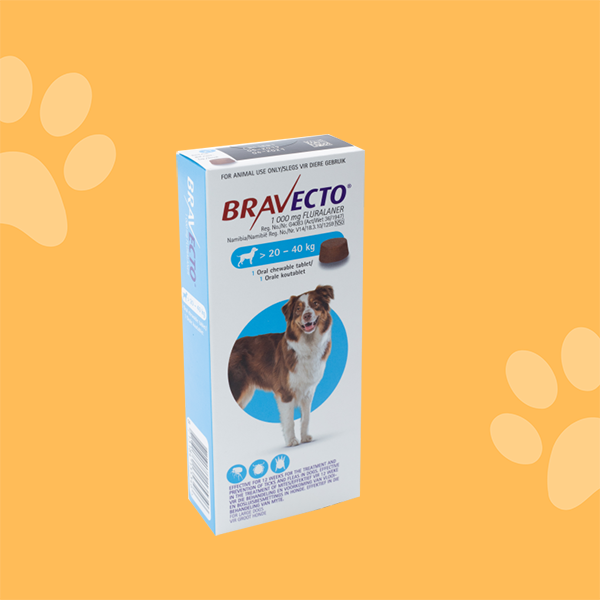 Bravecto 20 a 40kg (Pastilla antipulgas) Anti Pulgas, Medicameto Para Perros, Perros, Salud y