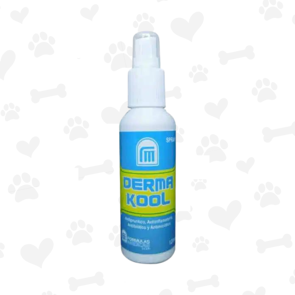 Derma Kool Spray 120ml | Anti Inflamatorio, Medicameto Para Perros ...