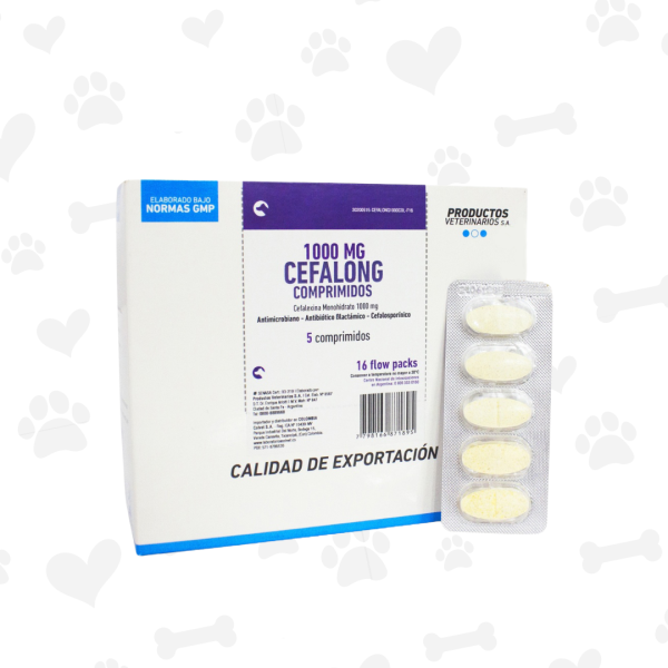 Cefalong 500mg Blister