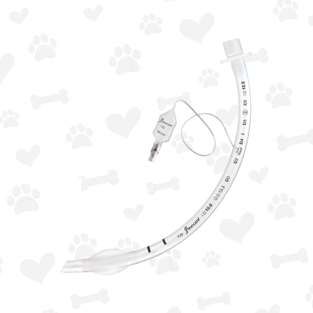 Tubo Endotraqueal No.5.5